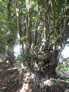 dscn0866